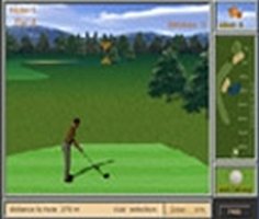 Profesyonel Golf oyunu oyna